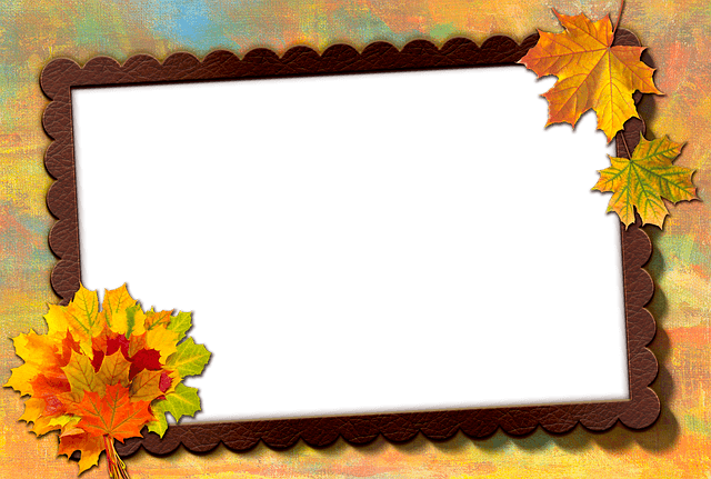 frame image